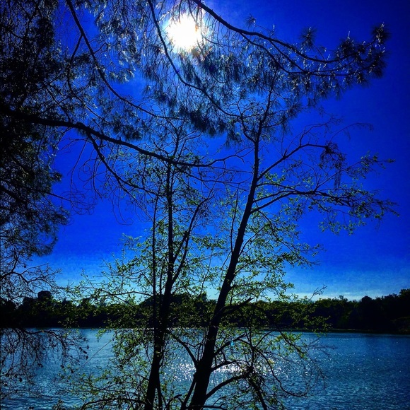 Meet your Posher, Michelle - Picture 3 of 3